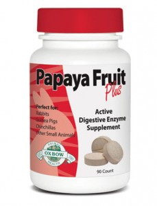 papaya_for_web_large