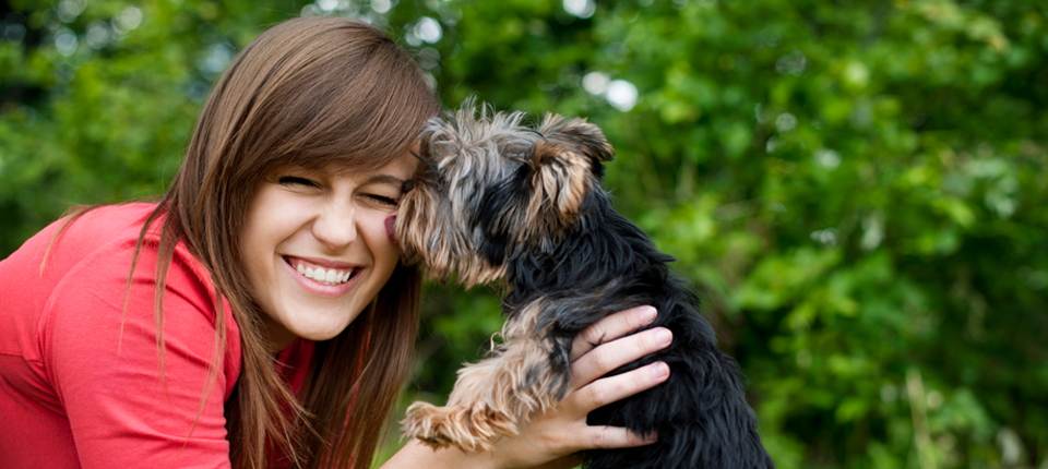 petfoodplus-dog-food